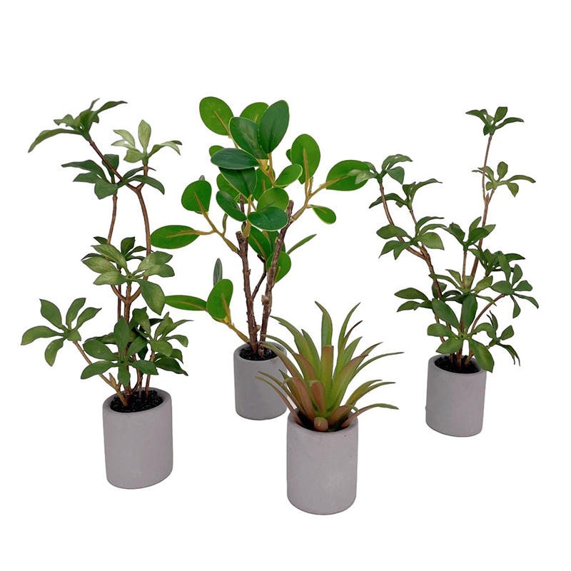 Bonsai Garden Ideas - 1:6 دمية مصغرة بوعاء النبات الأخضر