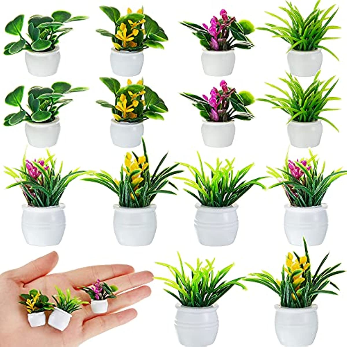 Bonsai Garden Ideas - نبات بيت الدمى، نبات بونساي مصغر،