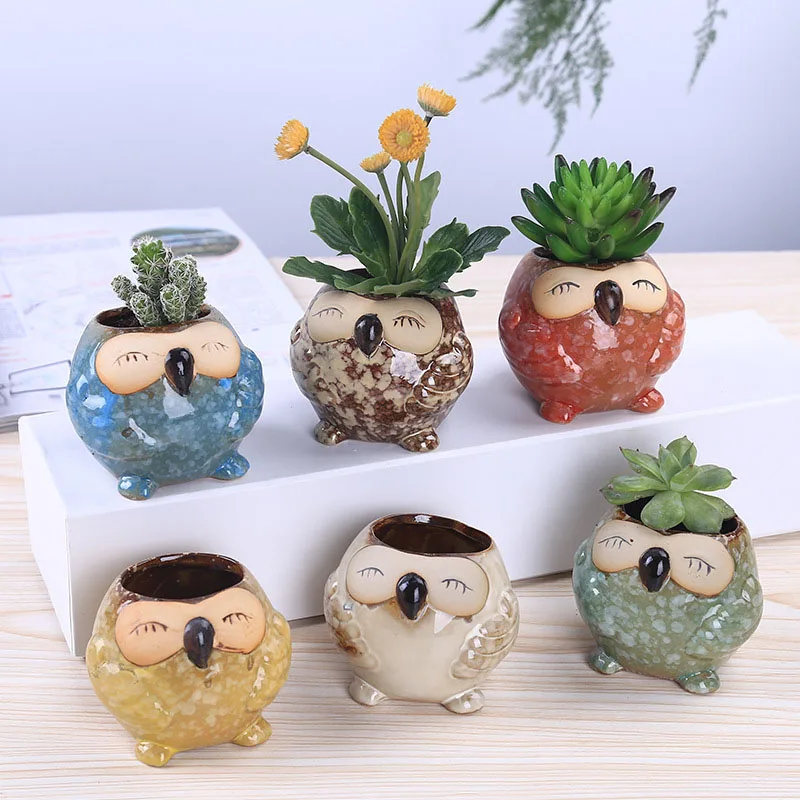 Bonsai Garden Wall - وعاء زرع صغير من السيراميك على