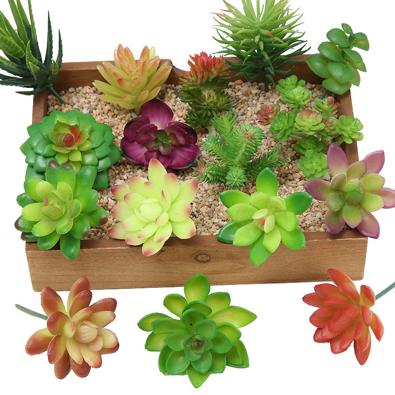 نباتات عصارية اصطناعية 2021 دي - مراجعة Bonsai Garden Ideas وسعره