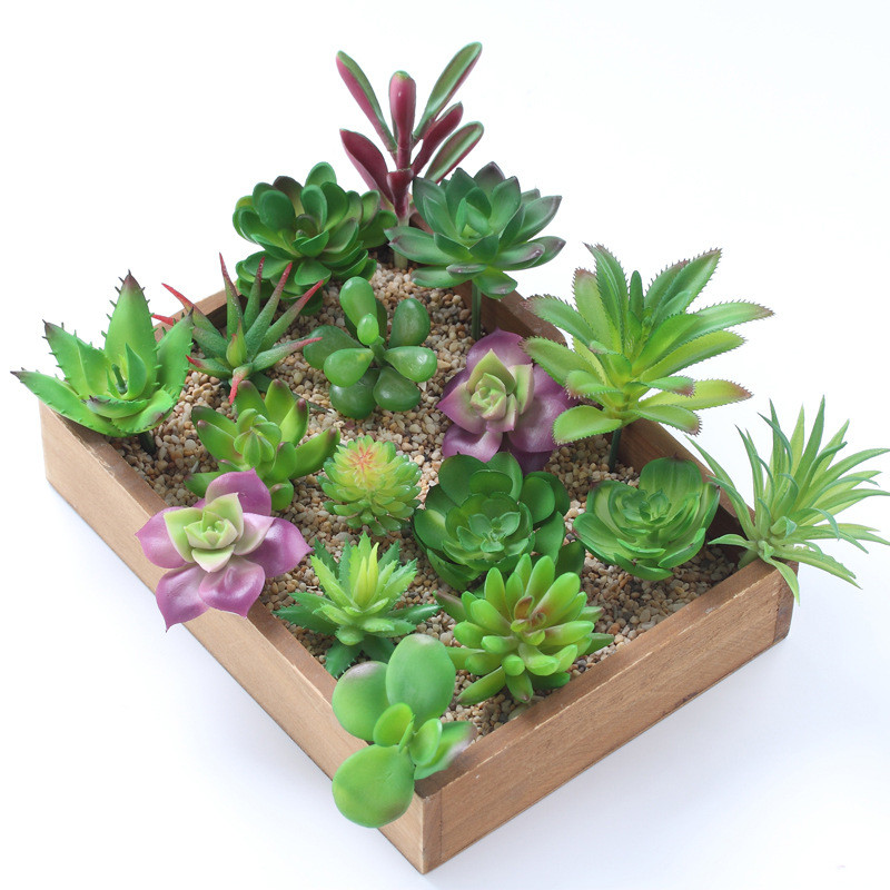 نباتات عصارية اصطناعية 2021 دي - مراجعة Bonsai Garden Ideas وسعره