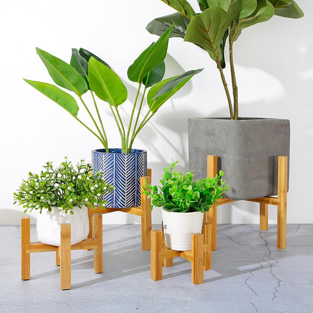 الخيزران داخلي في الهواء الطلق - مراجعة Bonsai Garden Display Stands وسعره
