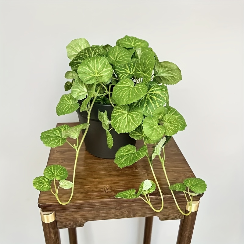 نبات صناعي معلق على شكل نبات م - مراجعة Bonsai Garden Ideas وسعره