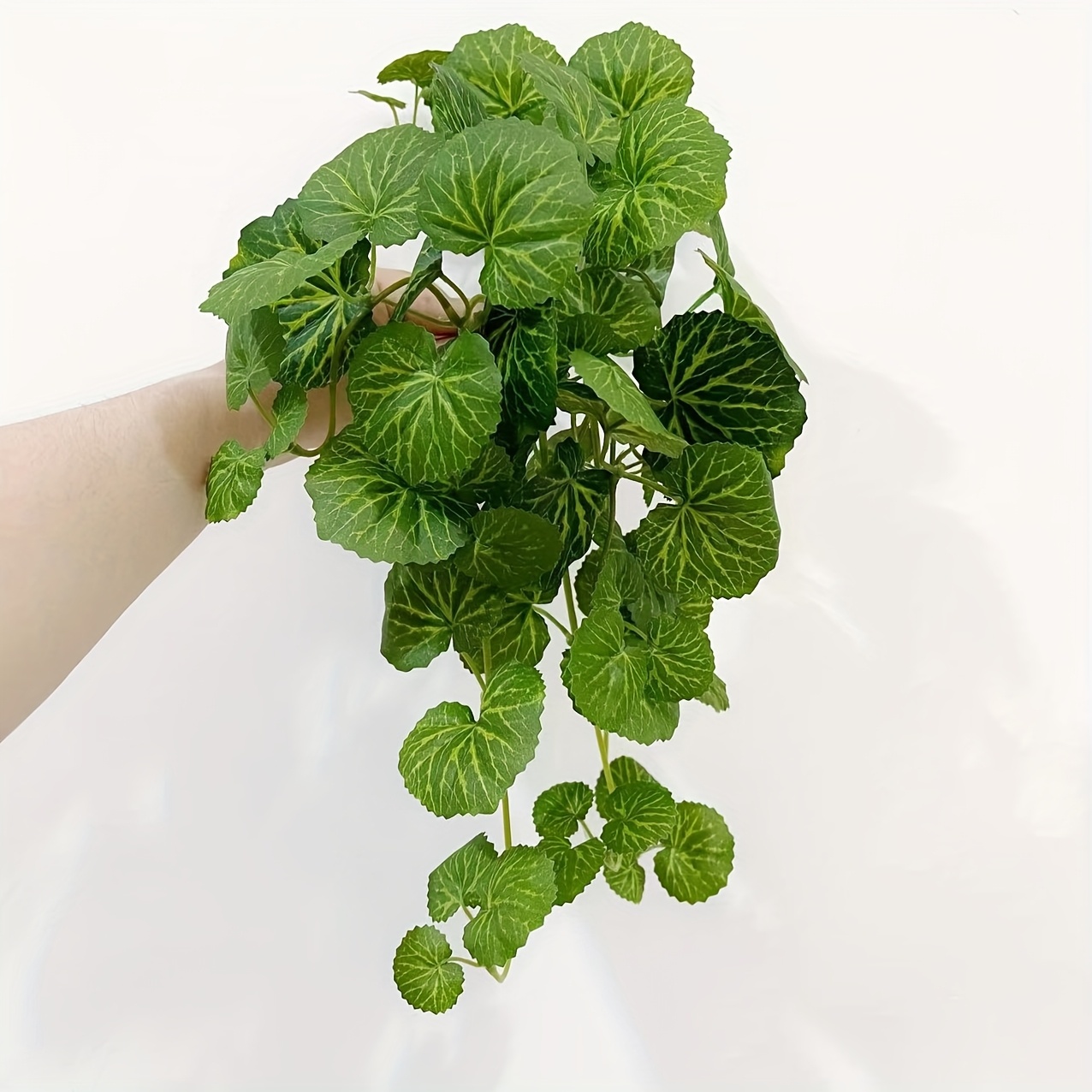 نبات صناعي معلق على شكل نبات م - مراجعة Bonsai Garden Ideas وسعره