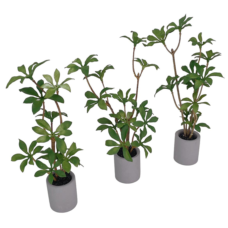 1:6 دمية مصغرة بوعاء النبات ال - مراجعة Bonsai Garden Ideas وسعره