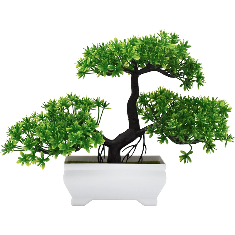 نبات صناعي بيونيك من البلاستيك - مراجعة Bonsai Garden Ideas وسعره