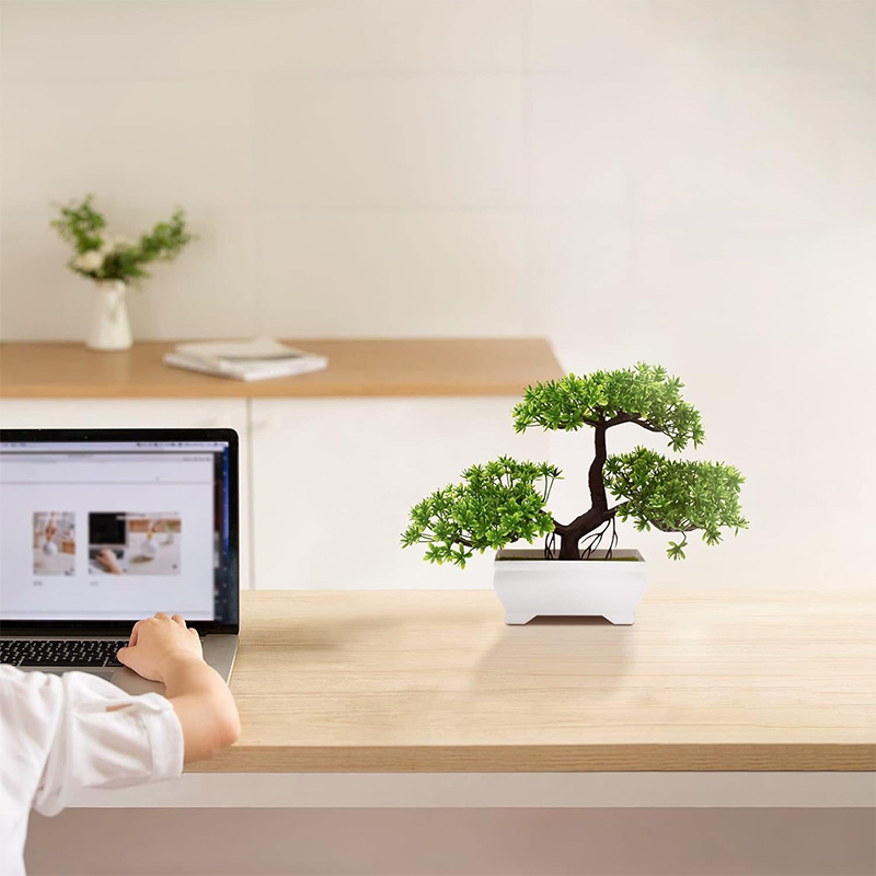 نبات صناعي بيونيك من البلاستيك - مراجعة Bonsai Garden Ideas وسعره