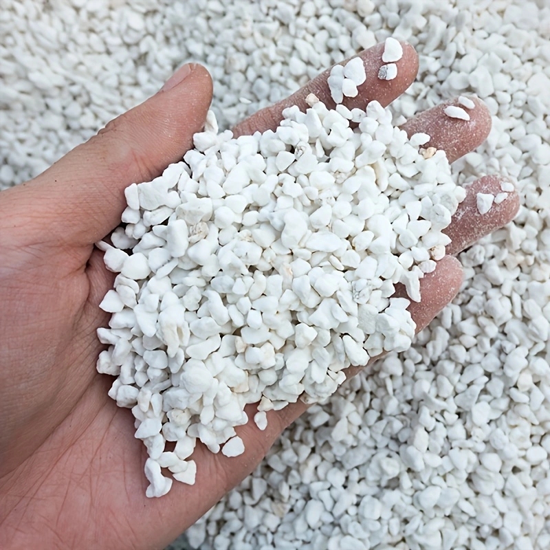 عبوة واحدة من البيرلايت الزراع - مراجعة Horticulture Soil Perlite وسعره