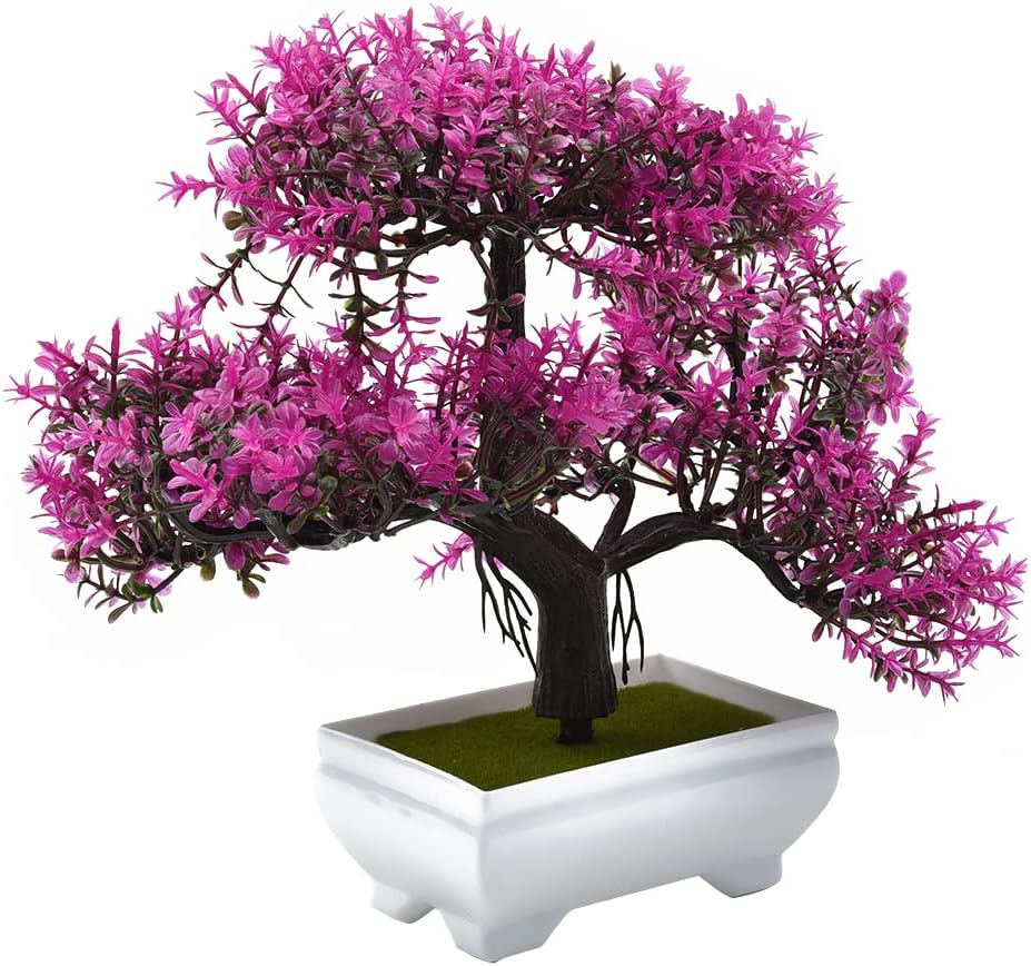 نباتات اصطناعية بونساي نبات صن - مراجعة Bonsai Garden Ideas وسعره