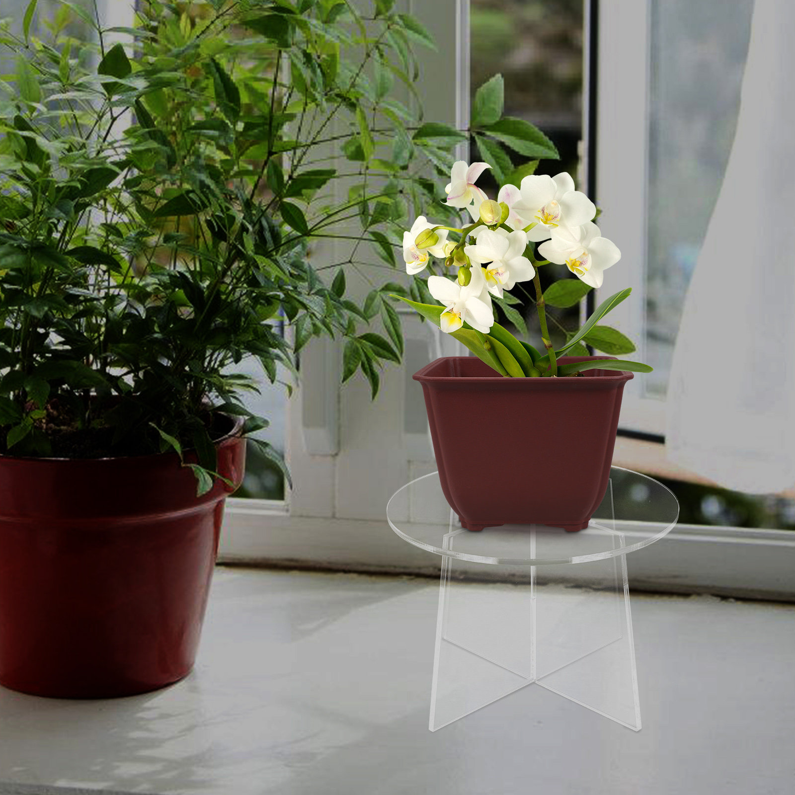 حامل نباتات أكريليك للنباتات ا - مراجعة Bonsai Garden Display Stands وسعره