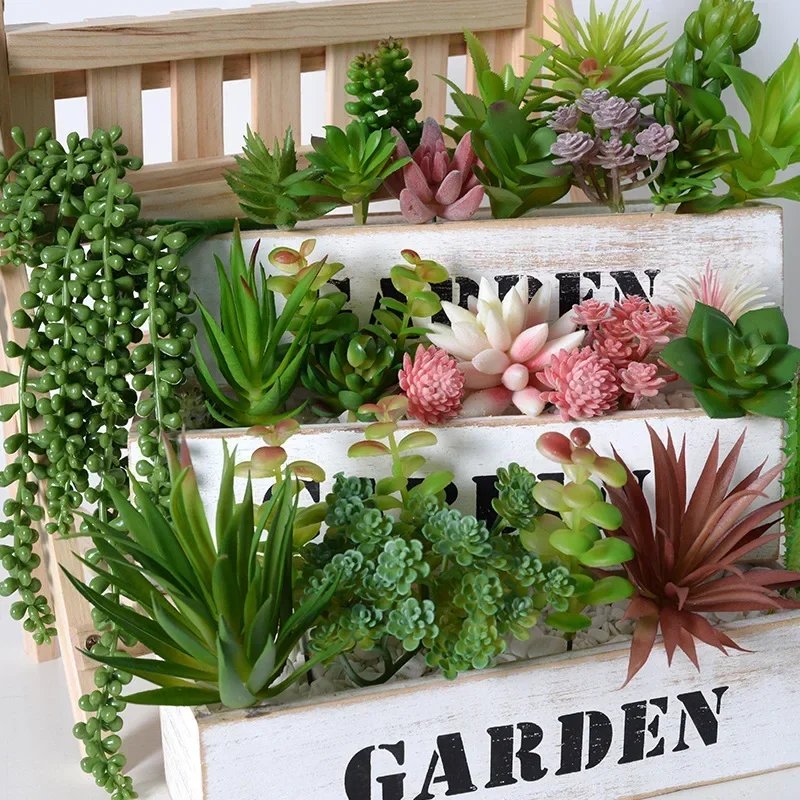 10/20 قطعة نباتات عصارية خضراء - مراجعة Bonsai Garden Ideas وسعره