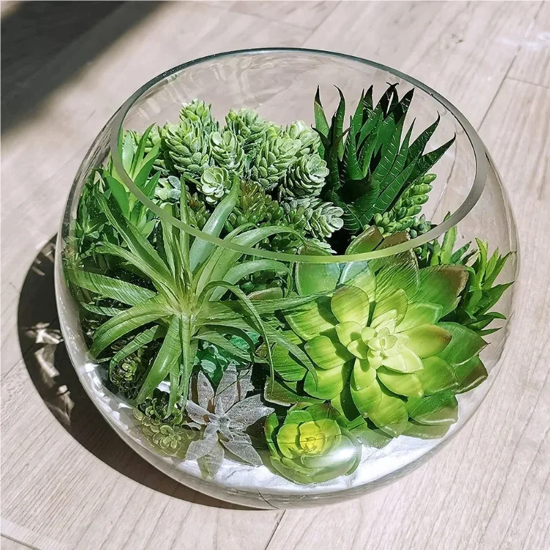 10/20 قطعة نباتات عصارية خضراء - مراجعة Bonsai Garden Ideas وسعره